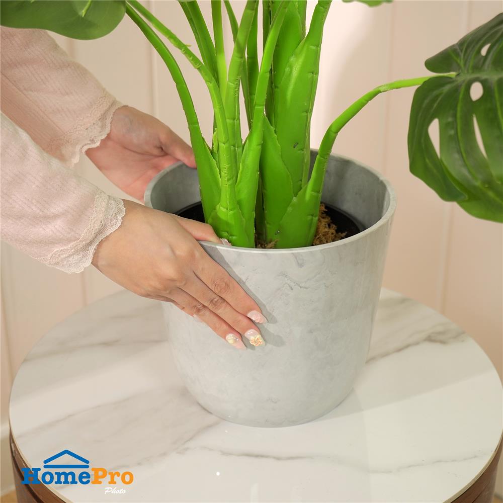 กระถางพลาสติก SPRING MORAY 21 ซม. สีขาว