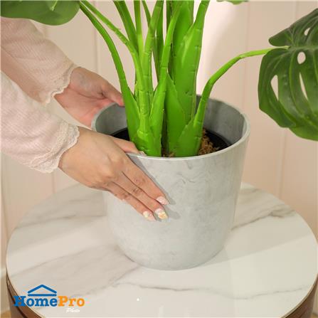 กระถางพลาสติก SPRING MORAY 21 ซม. สีขาว_4