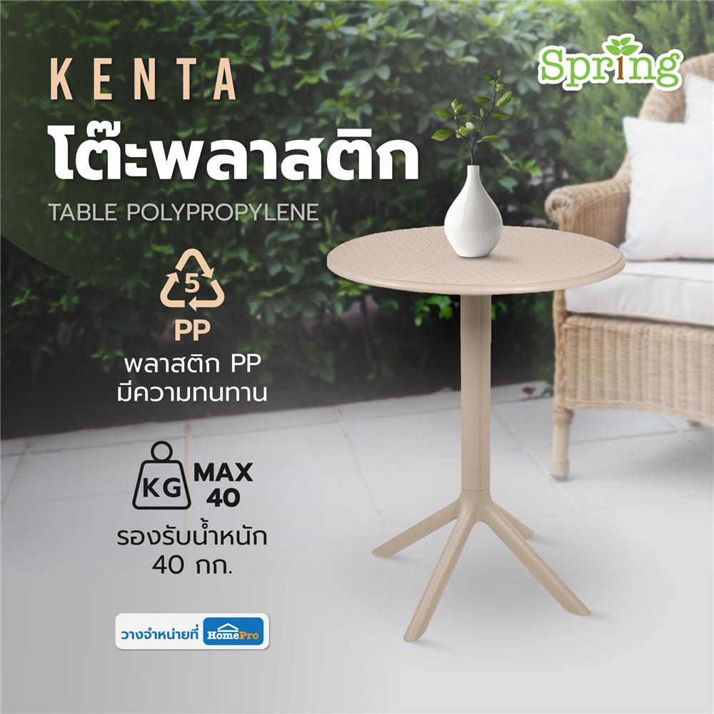 โต๊ะพลาสติก SPRING KENTA สีโทป