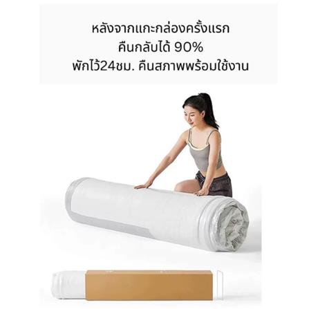 เบาะรองนั่ง INTERY CT234D133 30X39 นิ้ว สี TURMERIC_4