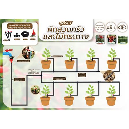 ชุดขาปักรดน้ำ ผักสวนครัวและไม้กระถาง SPRING_2