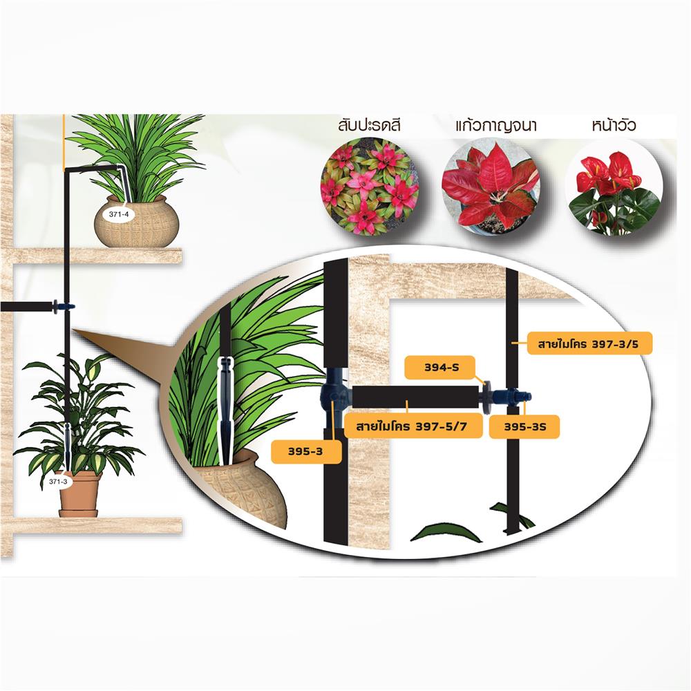 ชุดขาปักรดน้ำไม้มงคล SPRING