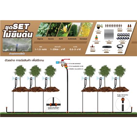 ชุดขาปักรดน้ำ ไม้ยืนต้น SPRING_2