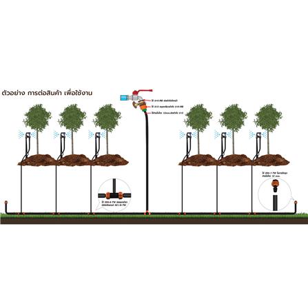 ชุดขาปักรดน้ำ ไม้ยืนต้น SPRING_4