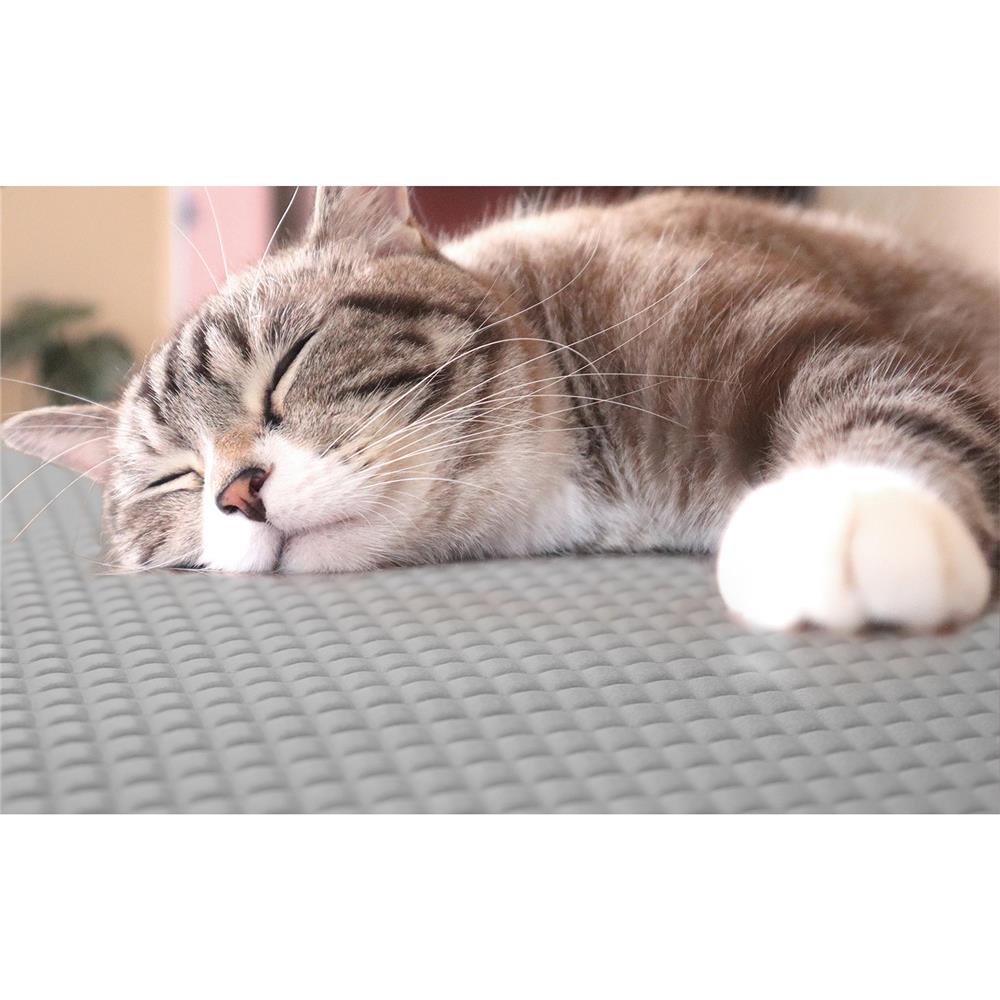 แผ่นอเนกประสงค์เพิ่มอุณหภูมิ MEIWA GY 45X60 ซม.