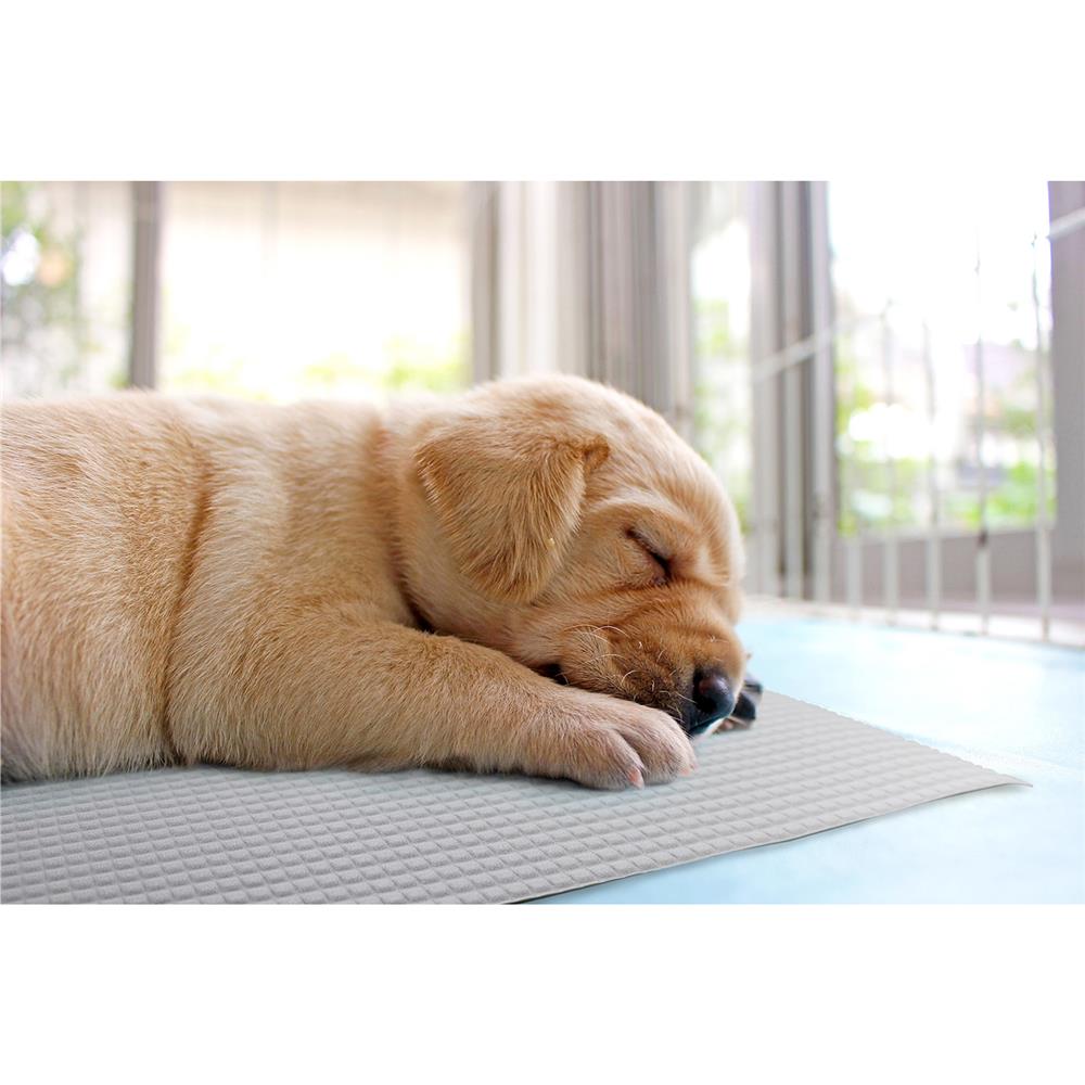 แผ่นอเนกประสงค์เพิ่มอุณหภูมิ MEIWA GY 45X60 ซม.