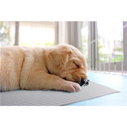 แผ่นอเนกประสงค์เพิ่มอุณหภูมิ MEIWA GY 45X60 ซม._6