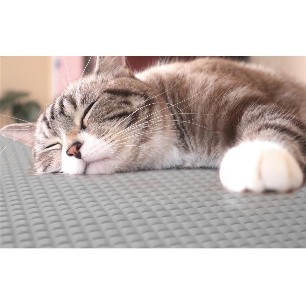 แผ่นอเนกประสงค์เพิ่มอุณหภูมิ MEIWA GY 60X90 ซม.