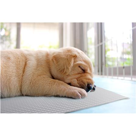 แผ่นอเนกประสงค์เพิ่มอุณหภูมิ MEIWA GY 60X90 ซม._6