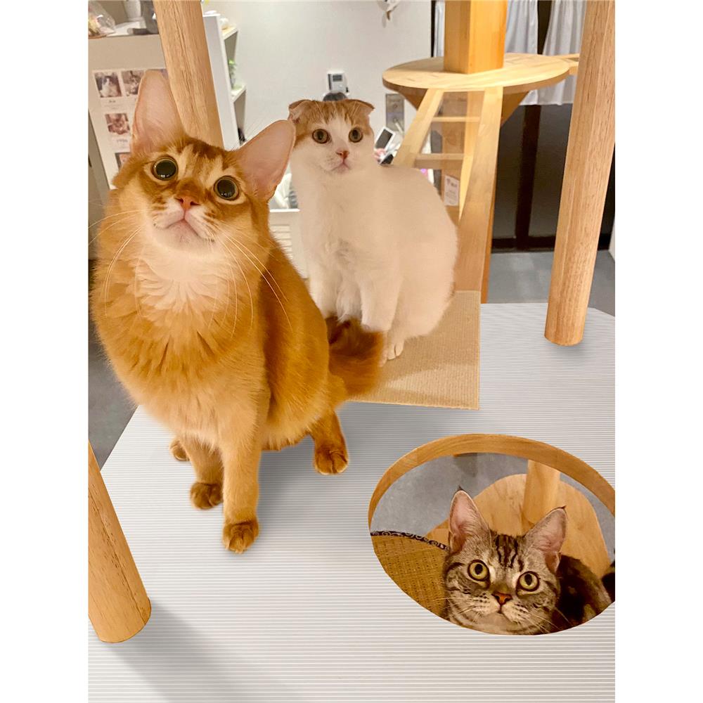 แผ่นอเนกประสงค์ลดอุณหภูมิ MEIWA LB 45X60 ซม.