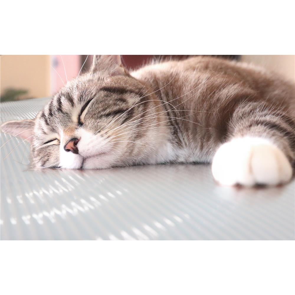 แผ่นอเนกประสงค์ลดอุณหภูมิ MEIWA LB 90X120 ซม.