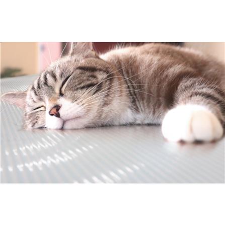 แผ่นอเนกประสงค์ลดอุณหภูมิ MEIWA LB 90X120 ซม._6