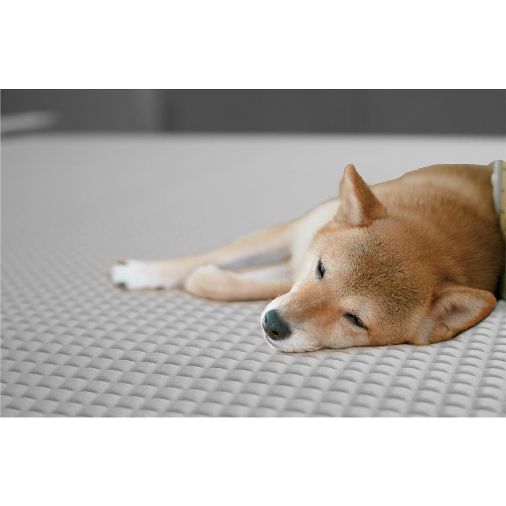 แผ่นอเนกประสงค์เพิ่มอุณหภูมิ MEIWA GY 90X120 ซม.