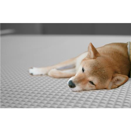 แผ่นอเนกประสงค์เพิ่มอุณหภูมิ MEIWA GY 90X120 ซม._5