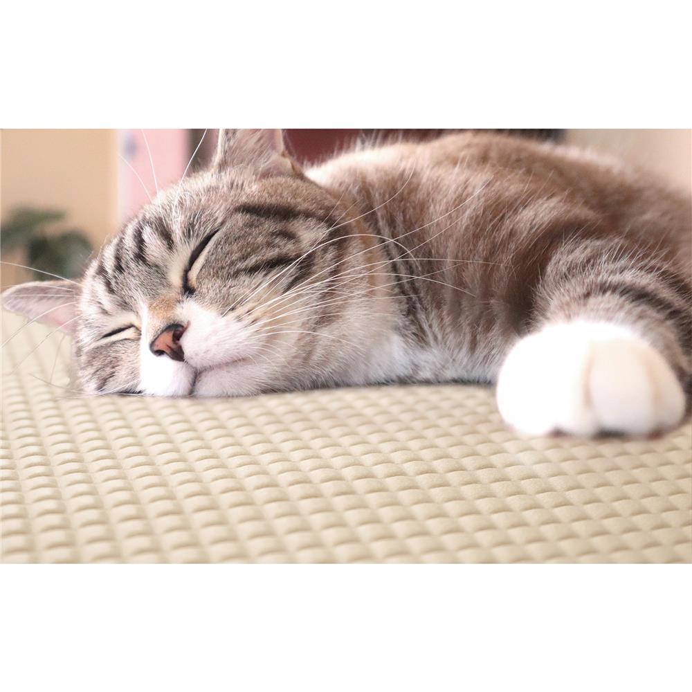 แผ่นอเนกประสงค์เพิ่มอุณหภูมิ MEIWA BE 45X60 ซม.