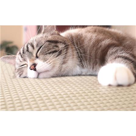 แผ่นอเนกประสงค์เพิ่มอุณหภูมิ MEIWA BE 45X60 ซม._5