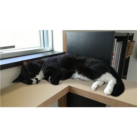 แผ่นอเนกประสงค์เพิ่มอุณหภูมิ MEIWA BE 45X60 ซม._6