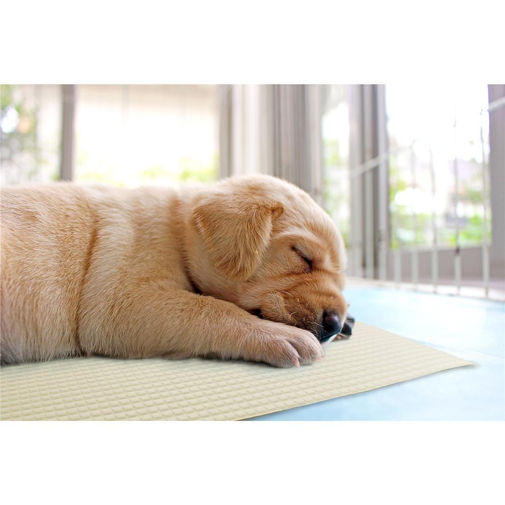 แผ่นอเนกประสงค์เพิ่มอุณหภูมิ MEIWA BE 60X90 ซม.