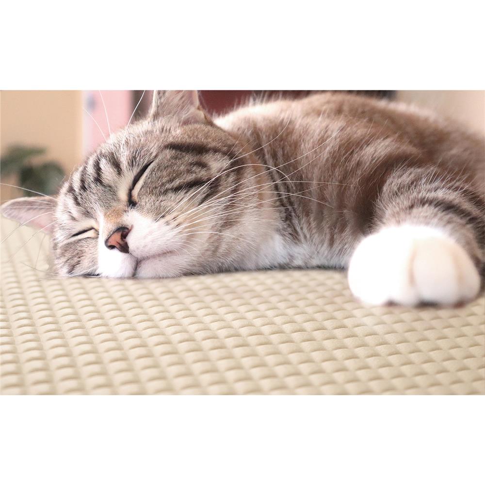 แผ่นอเนกประสงค์เพิ่มอุณหภูมิ MEIWA BE 60X90 ซม.