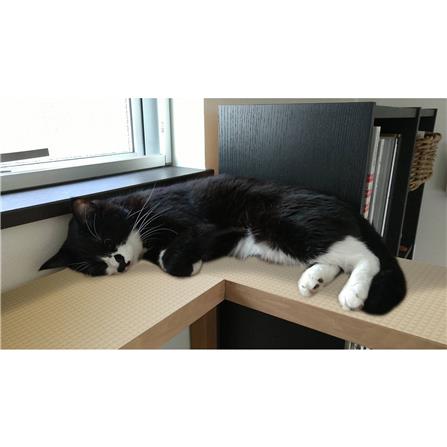 แผ่นอเนกประสงค์เพิ่มอุณหภูมิ MEIWA BE 60X90 ซม._6