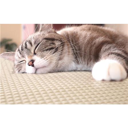 แผ่นอเนกประสงค์เพิ่มอุณหภูมิ MEIWA BE 60X90 ซม._7