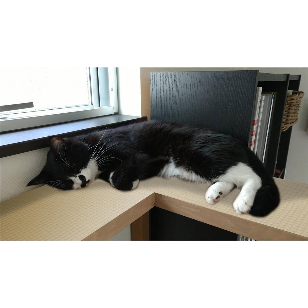 แผ่นอเนกประสงค์เพิ่มอุณหภูมิ MEIWA BE 90X120 ซม.