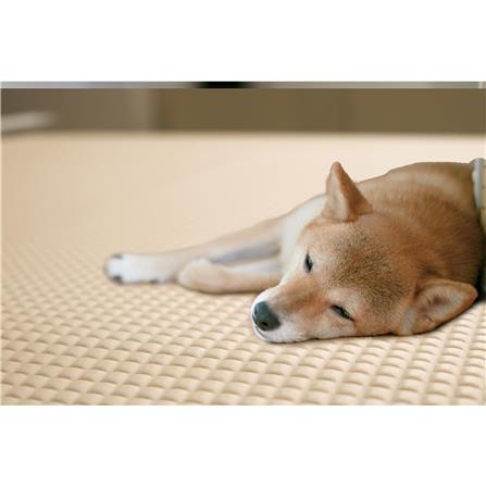 แผ่นอเนกประสงค์เพิ่มอุณหภูมิ MEIWA BE 90X120 ซม._5