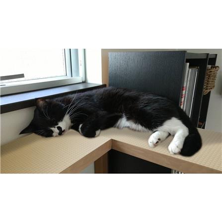 แผ่นอเนกประสงค์เพิ่มอุณหภูมิ MEIWA BE 90X120 ซม._6