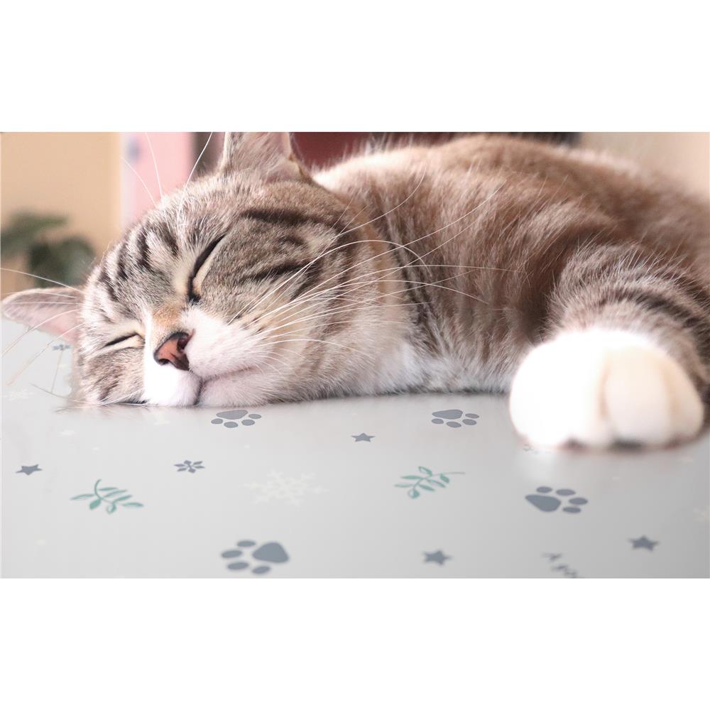 แผ่นอเนกประสงค์ลดอุณหภูมิ MEIWA B 45X60 ซม.