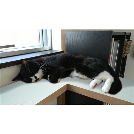 แผ่นอเนกประสงค์ลดอุณหภูมิ MEIWA LB 90X180 ซม._6