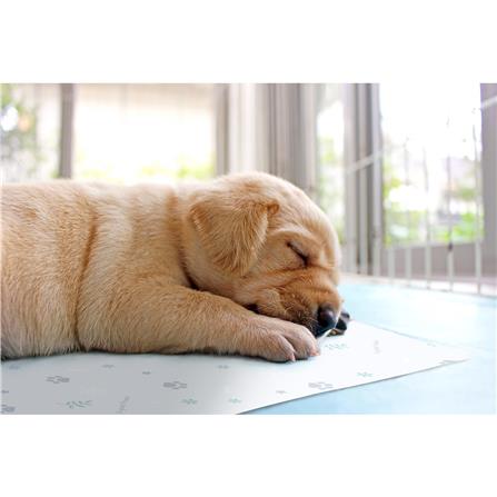 แผ่นอเนกประสงค์ลดอุณหภูมิ MEIWA B 60X90 ซม._6