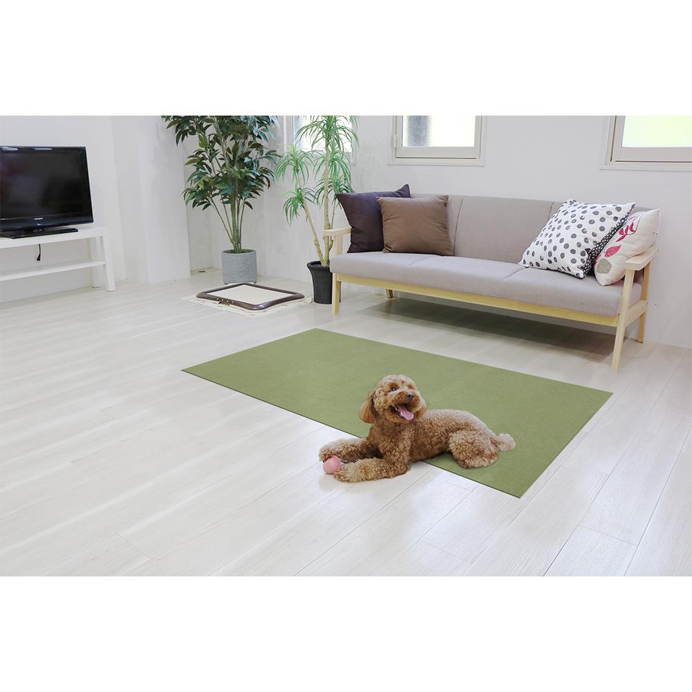 พรมกันลื่น MEIWA GR 60X90 ซม.