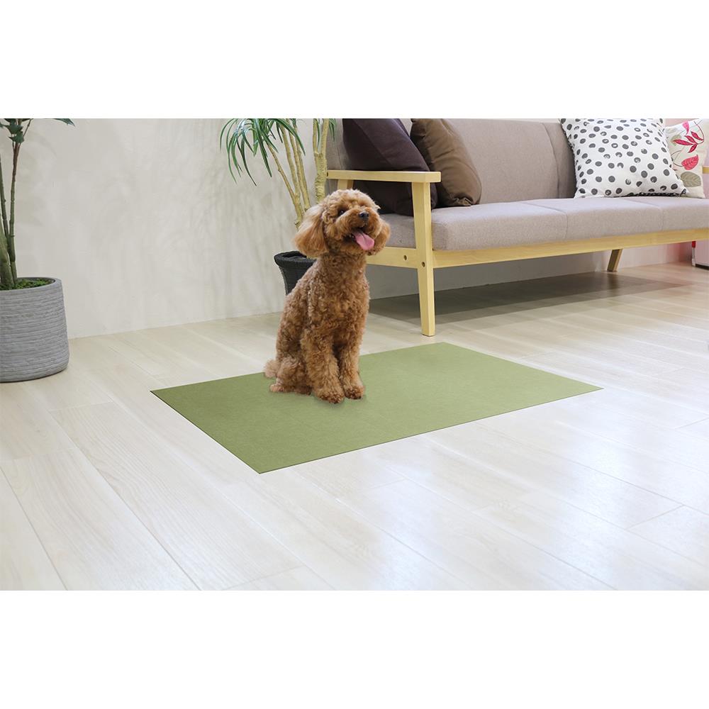 พรมกันลื่น MEIWA GR 60X90 ซม.