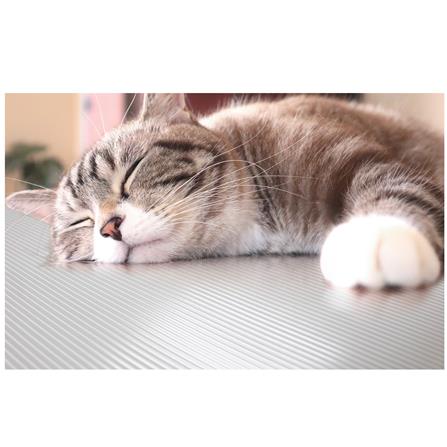 แผ่นอเนกประสงค์ลดอุณหภูมิ MEIWA GY 60X90 ซม._5