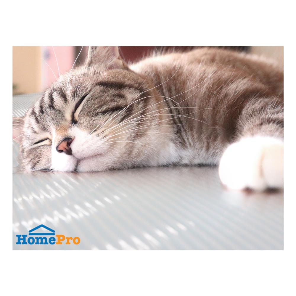 แผ่นอเนกประสงค์ลดอุณหภูมิ MEIWA GY 90X180 ซม.