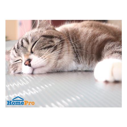 แผ่นอเนกประสงค์ลดอุณหภูมิ MEIWA GY 90X180 ซม._6