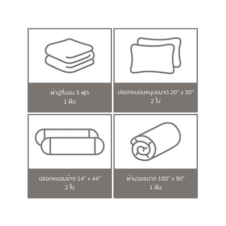 ชุดผ้าปูที่นอน 5 ฟุต (ชุด 6 ชิ้น) PREMIER SATIN TWEETYS FJ008_5