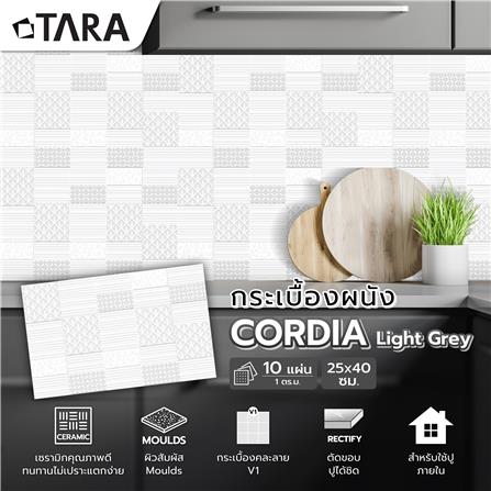 กระเบื้องผนัง 25x40 ซม. TARA คอร์เดียร์ ไลท์เกรย์ A 1 ตร.ม._7