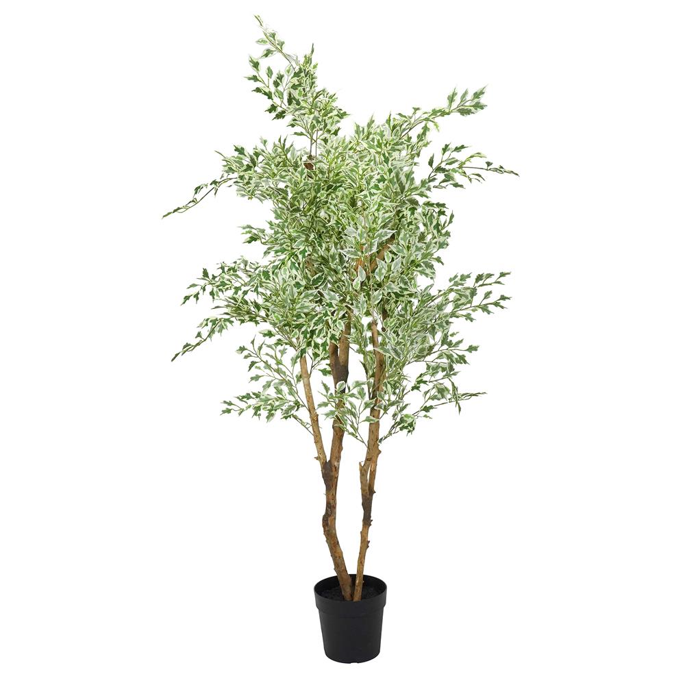 ต้นไทรด่างประดิษฐ์ SPRING 185 ซม._0