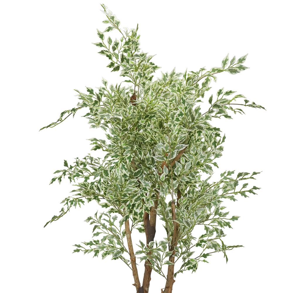 ต้นไทรด่างประดิษฐ์ SPRING 185 ซม.