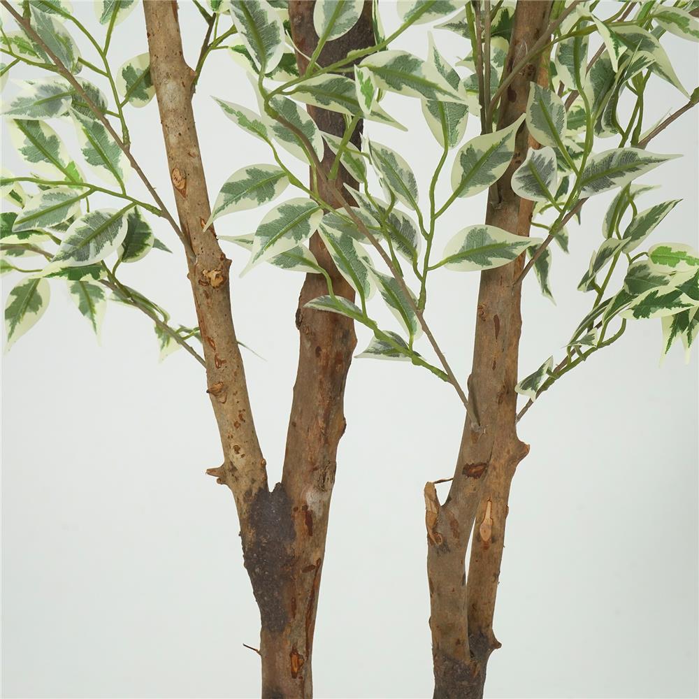 ต้นไทรด่างประดิษฐ์ SPRING 185 ซม.