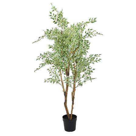 ต้นไทรด่างประดิษฐ์ SPRING 185 ซม._1