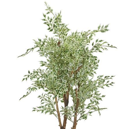 ต้นไทรด่างประดิษฐ์ SPRING 185 ซม._2