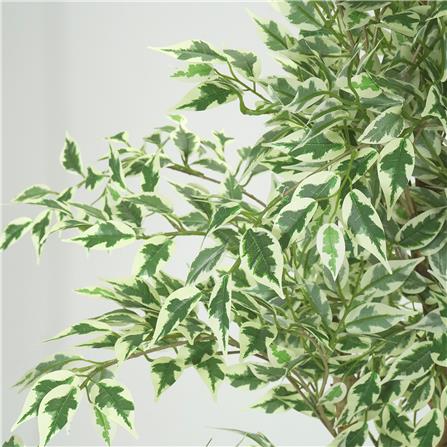 ต้นไทรด่างประดิษฐ์ SPRING 185 ซม._3