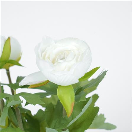 ดอกกุหลาบ SPRING 23 ซม._2