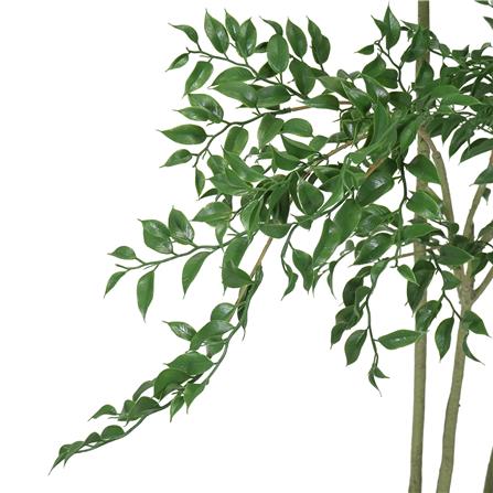 ต้นไทรด่างประดิษฐ์ SPRING 170 ซม._2