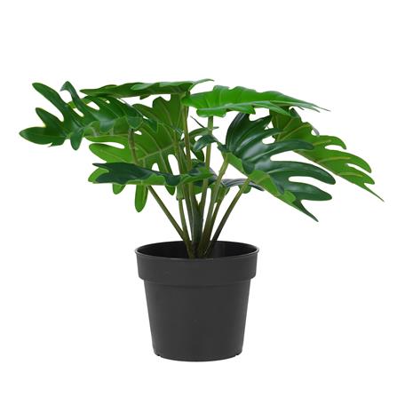 ต้นซานาดูประดิษฐ์ SPRING 20 ซม._0