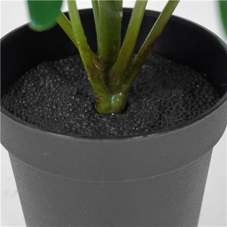 ต้นซานาดูประดิษฐ์ SPRING 20 ซม._3