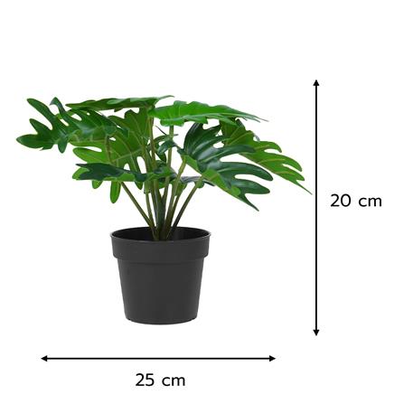 ต้นซานาดูประดิษฐ์ SPRING 20 ซม._5