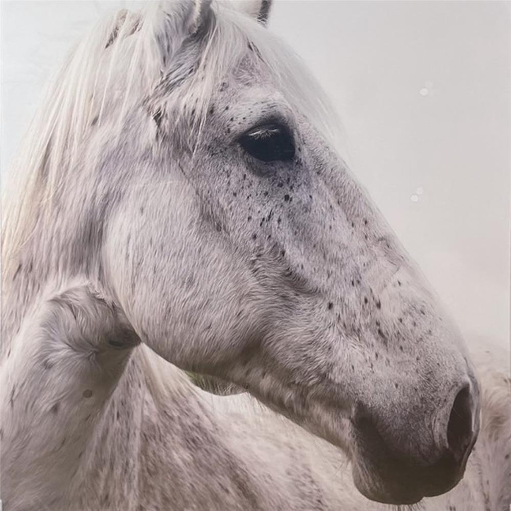 รูปภาพตกแต่ง WANA.GALLERY LTN-21100142 หลากสี